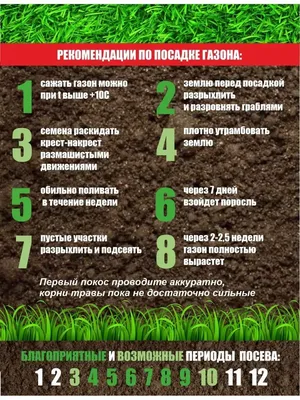 Семена \"Мятлик Луговой\" DLF Балин 5 кг купить с доставкой по Минску и  району по цене 233 руб.