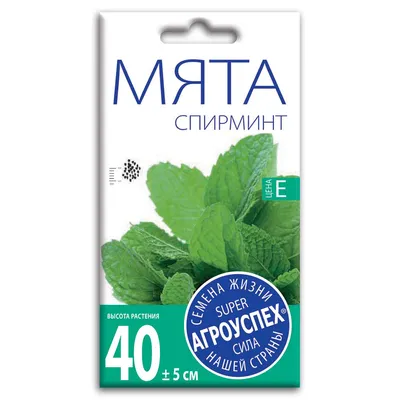 Семена «Мята Ментол» 0,03 г с бесплатной доставкой на дом из «ВкусВилл» |  Владимир