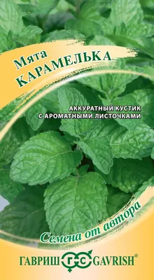 ✓ Семена Мята Карамелька, 0,05г, Гавриш, Семена от автора по цене 38 руб. ◈  Большой выбор ◈ Купить по всей России ✓ Интернет-магазин Гавриш ☎  8-495-902-77-18