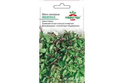 Мята Ментол 0,03 г, лекарственная трава для чая, семена мяты для  проращивания дома, семена зелени для балкона, зелень для сада | AliExpress