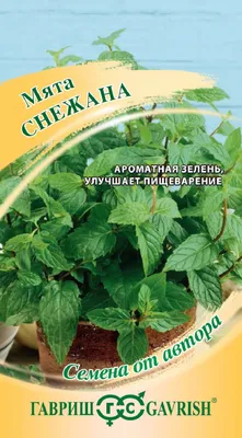 Семена мяты перечной - Mentha piperita - семян - семена – Garden Seeds  Market | Бесплатная доставка