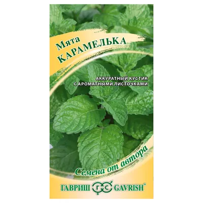Мята Перечная Peppermint семена для выращивания беби листьев (зелени)  купить в магазине «Ильинские травы»