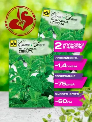 Семена мяты Сперминт, 0.1 г купить 〛по выгодной цене в Киеве и Украине |  Фото | Отзывы