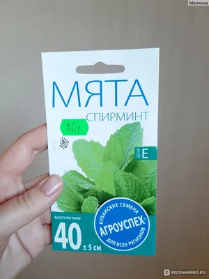 Семена лекарственных трав Мята Золотой Юбилей купить в Украине | Веснодар