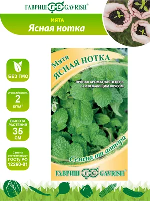 Набор для выращивания Домашний сад «Мята» купить в интернет-магазине  Техника Здоровья