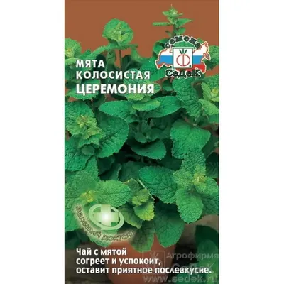 Семена мяты, Октябрина Ганичкина, Ментол 3 г — купить в Мурманске по цене  19 руб за шт на СтройПортал