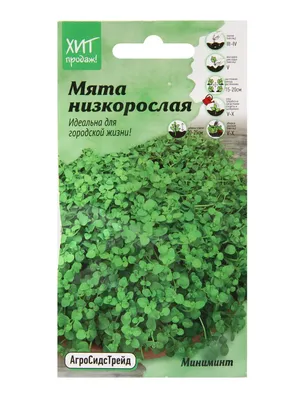 Семена Мята перечная Легкое дыхание, 0,05 г СеДеК - купить в Москве, цены  на Мегамаркет