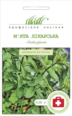 Домашний сад - яблочная мята - для выращивания в помещении и на балконе;  мята ананасовая, мята шерстяная, мята круглая - Mentha rotundifolia - семена  – Garden Seeds Market | Бесплатная доставка