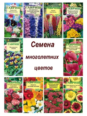 Семена многолетних цветов для сада Гавриш 18814987 купить за 400 ₽ в  интернет-магазине Wildberries