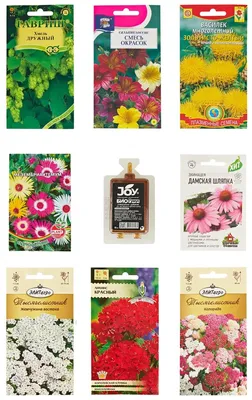 Набор семян, семена многолетние цветы, василек, тысячелистник, хмель, все  для сада и дачи — купить в интернет-магазине по низкой цене на Яндекс  Маркете