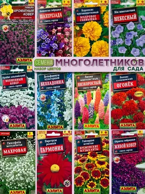 Агрофирма Аэлита Набор семена многолетних цветов