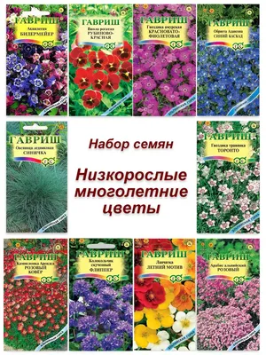 Семена многолетних цветов Гавриш 42948118 купить за 402 ₽ в  интернет-магазине Wildberries