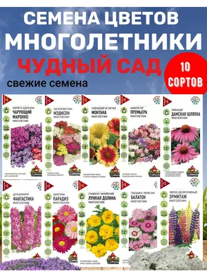 Семена многолетних цветов Удачные семена 63200450 купить в  интернет-магазине Wildberries