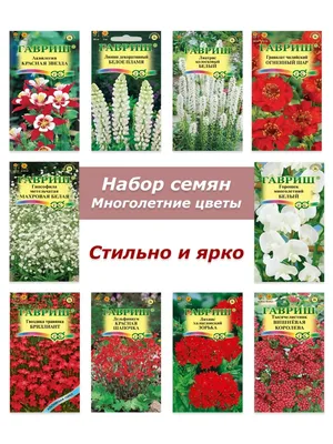 Семена многолетних цветов для сада Гавриш 70553794 купить в  интернет-магазине Wildberries