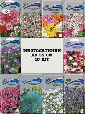 Набор семена цветов многолетних низкорослых Агрохолдинг Поиск 76481228  купить за 276 ₽ в интернет-магазине Wildberries