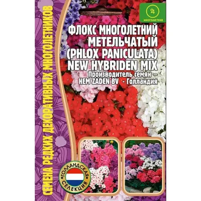 Семена Цветов Флокс New Hibriden Mix многолетний метельчатый , 10 сем.*  купить