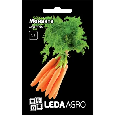 Морковь Карсон F1 (Bejo) - купить семена из Голландии оптом - АГРООПТ