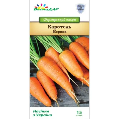 Семена моркови в человеческих руках против предпосылки почвы Стоковое  Изображение - изображение насчитывающей засев, плантация: 67135829