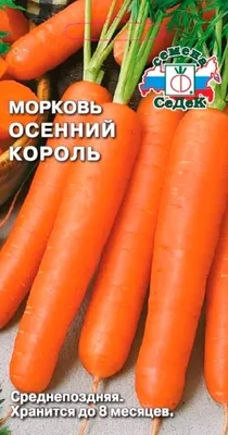 Семена моркови Элеганс F1 100000 шт. купить