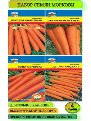 Семена моркови Каротель купить в Украине | Веснодар