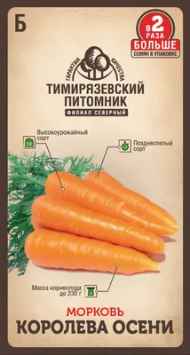 ✓ Семена Морковь Краса девица, 2,0г, Гавриш, Русский вкус по цене 34 руб. ◈  Большой выбор ◈ Купить по всей России ✓ Интернет-магазин Гавриш ☎  8-495-902-77-18