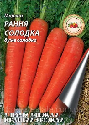 Морковь Навал F1 (Bejo) - купить семена из Голландии оптом - АГРООПТ