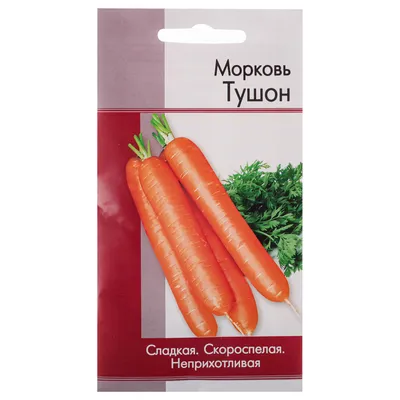 Семена моркови Ромоса купить в Ростове-на-Дону
