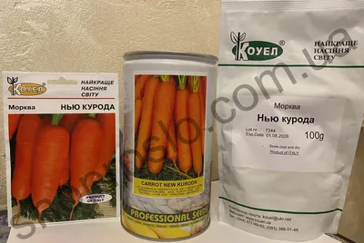 Семена моркови, длинные тупые, без ксилемы (сердце) - Цена: €1.85