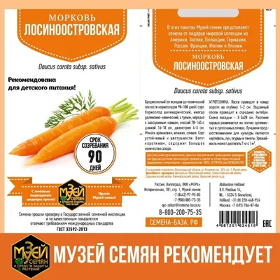 Семена моркови Романс ЭЛИТ F1, 0,5 г в Москве – цены, характеристики, отзывы