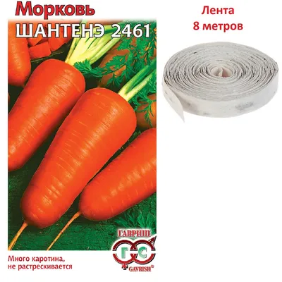 Семена моркови Лагуна F1 (фр. 1.4-1.6 мм.) 100000 шт. купить