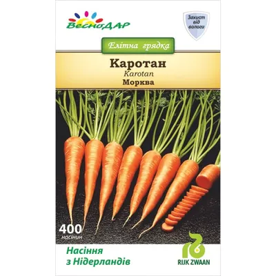 Морковь Карини семена купить от Bejo, цена в Супермаркете Семян