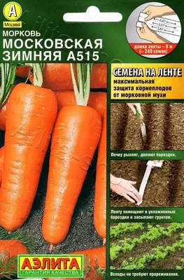 Морковь Джерада F1 (Rijk Zwaan) - купить семена из Голландии оптом - АГРООПТ