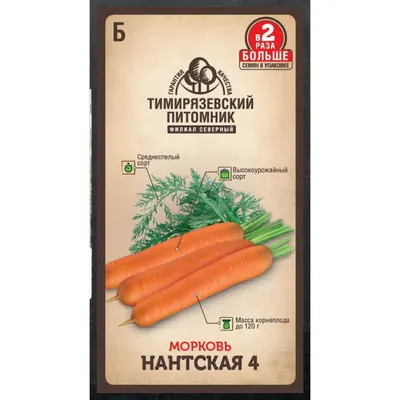 Семена Морковь Московская зимняя на ленте 8м Аэлита - купить в интернет  магазине ХозСити по низким ценам