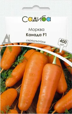Морковь alexagro 331074445 - купить по выгодным ценам в интернет-магазине  OZON (1040451301)