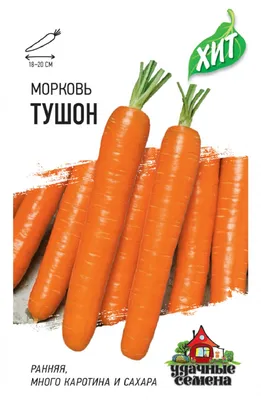 Семена моркови Абразо F1, ранний гибрид, Seminis (Голландия), 200 000 шт  (1,8-2,0) — Товары для выращивания овощей и фруктов — Интернет-магазин  Shoproslo