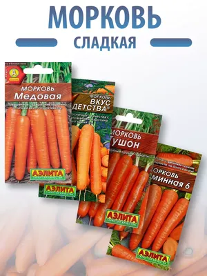 Семена моркови Карлена, 2 г, Satimex, Германия, Традиция. ➤ купити в  магазині Zelena Ferma за 8.00 грн.