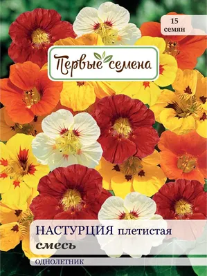 Настурции Сибирские семена MODEL_54618426a5 - купить по выгодным ценам в  интернет-магазине OZON (1099303920)