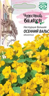 Семена настурции: купить почтой. Интернет-магазин семян декоративных цветов  с доставкой по России