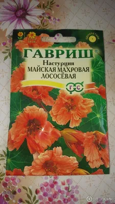 Настурция Драгоценность смесь (mix) купить семена настурции Hem Zaden |  доставка почтой по Украине