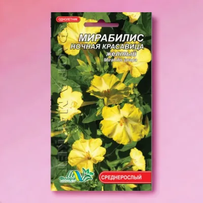 Семена ночной красавицы | Сравнить цены и купить на Prom.ua