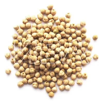 Нут горох/ горох семена/ Нохат 1 кг - купить с доставкой по выгодным ценам  в интернет-магазине OZON (950212247)