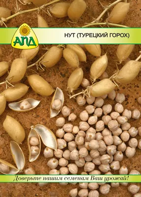 Нут, бараний горох, семена нута (ID#51594609), цена: 40 ₴, купить на Prom.ua