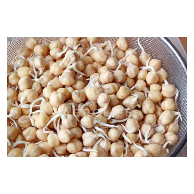 Нут 10 грамм (Hortus) Семена турецкого гороха | Интернет магазин  Агро-Качество