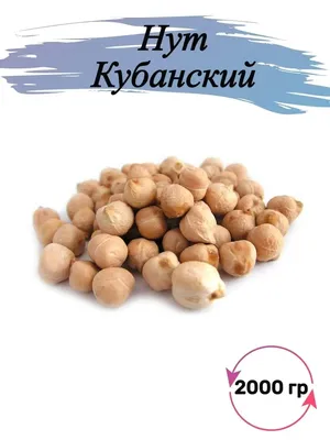 Теплица для выращивания нута появится в космосе, туда отправили 28 семян |  GreenPost