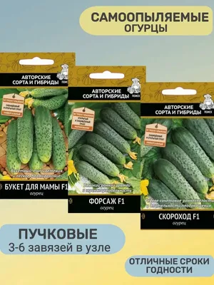 Набор семена огурцов раннеспелые самоопыляемые Агрохолдинг Поиск 53501147  купить в интернет-магазине Wildberries