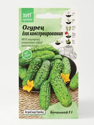 Огурец Бочковой 0,25 г АСТ / семена огурцов для посадки / огурцы для  балкона сада дома огорода / | AliExpress