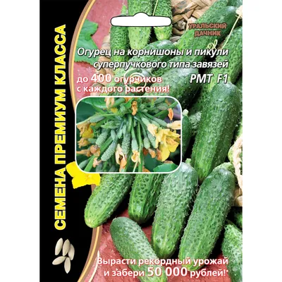 семена огурцов стоковое фото. изображение насчитывающей ферма - 229006530