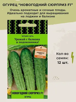 Семена огурцов \"Пупырышкин\" скороспелый для открытого грунта и теплиц  купить по цене 55 ₽ в интернет-магазине KazanExpress