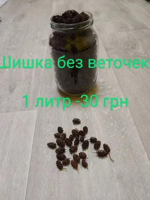 Ольха андская – дерево и древесина – Alnus acuminata