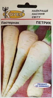 Выращивание и уход за пастернаком - Agro-Market